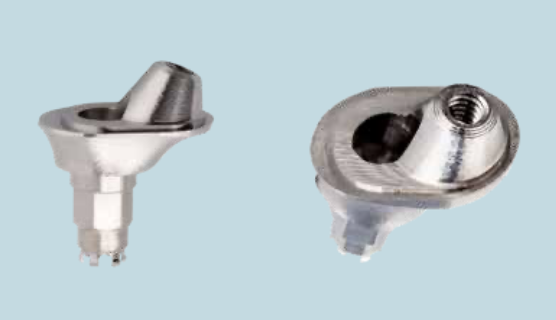 Piattaforma Protesica